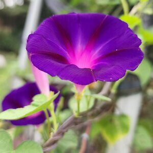 Meet your Posher, Pam